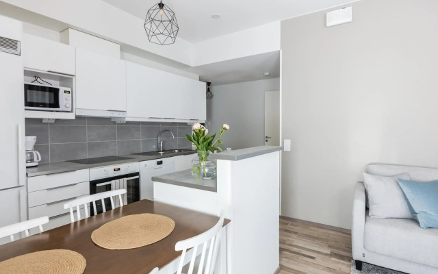 Arctic Starry City Suite