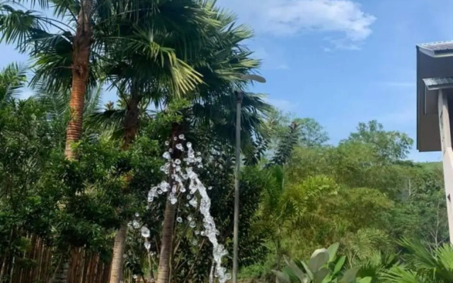 Riverside Palm Inn Sg Lembing