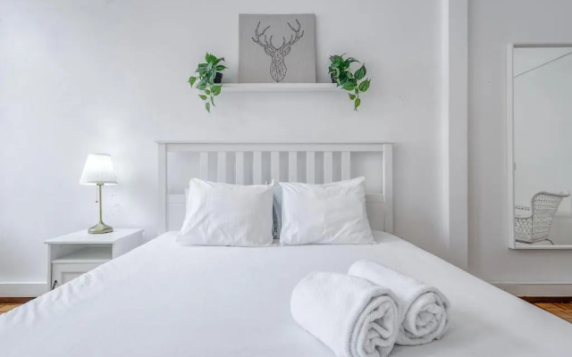 Travel & Live Alegria 248