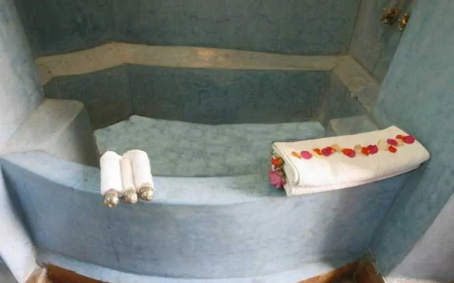 Riad Arocha