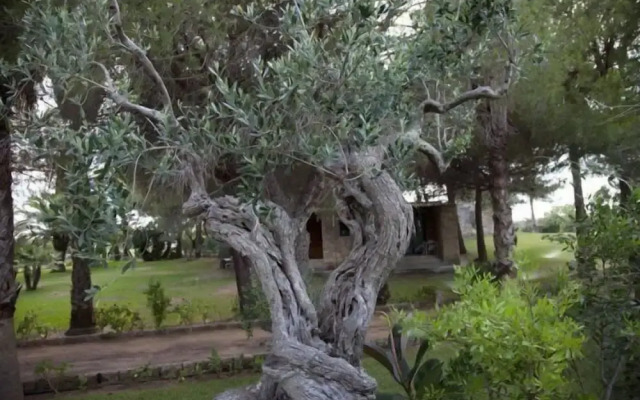 Tenuta Terenzano