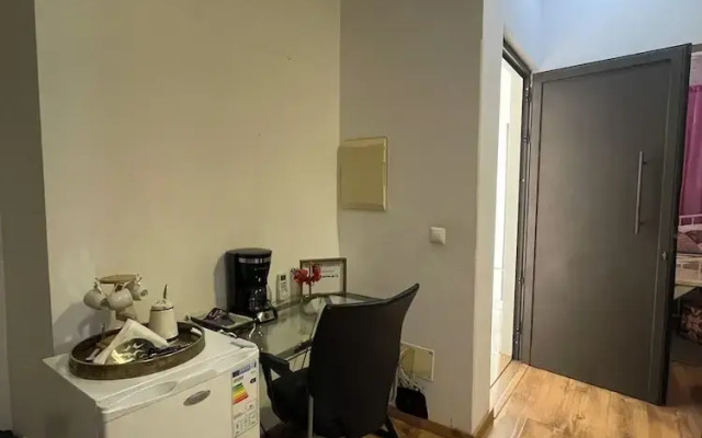 City Center Luxurious Studio Techas Place