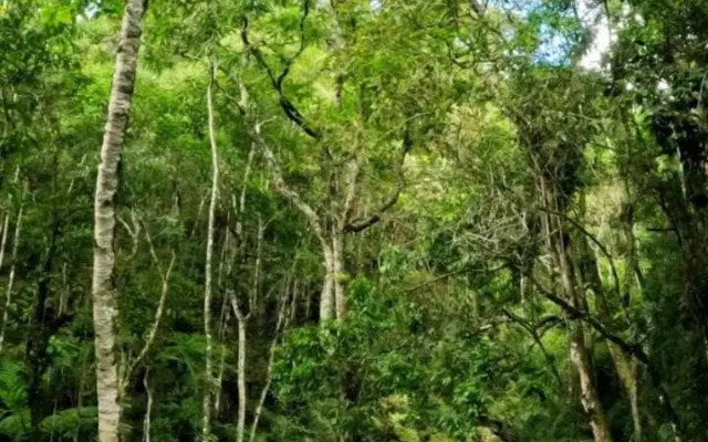 Rancho Pedra do Picú