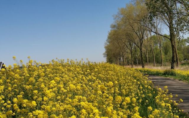 Bed en Breakfast Molenzicht