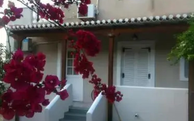 Theo Studios