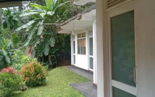 Rainforest Holiday Inn