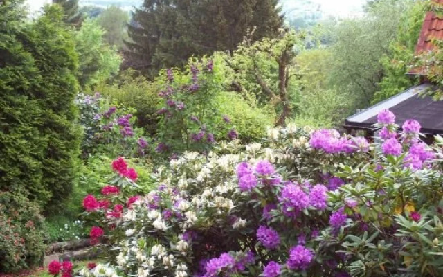 Pension Waldhaus Anita