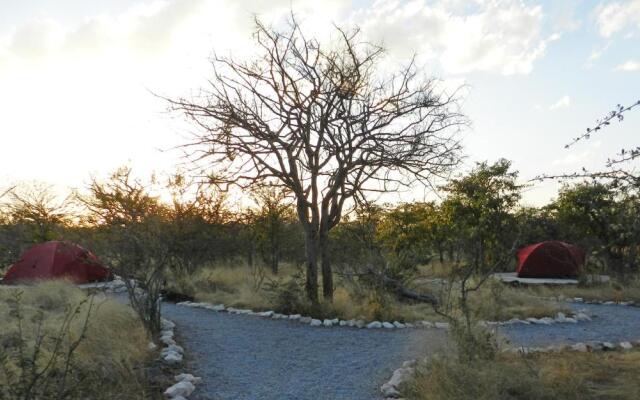 Etosha Village