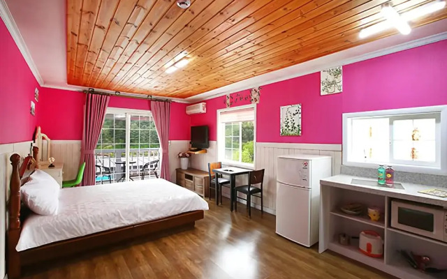 Gapyeong Blue Skylight Pension