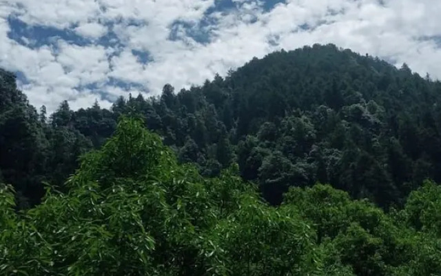 Hotel paradise hills