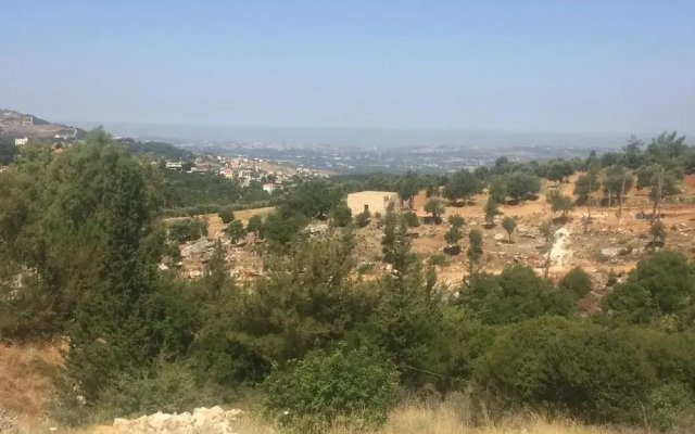Ahla Vert View