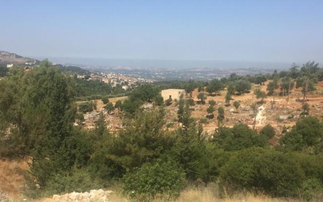Ahla Vert View