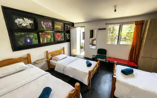 El Yarumo Hostel