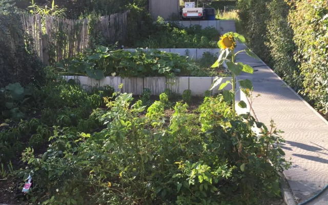 Ferienwohnungen Weiherhausstraße 6