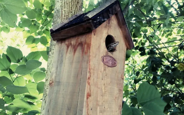 BoscoBo RelaxNatura