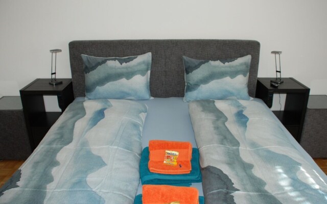 Saleggi Apt 20 Locarno