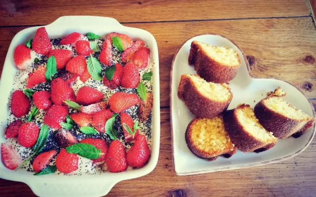 La Yourte des Champs