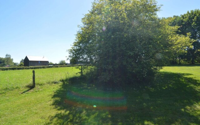 Scenic Chalet in Ovifat