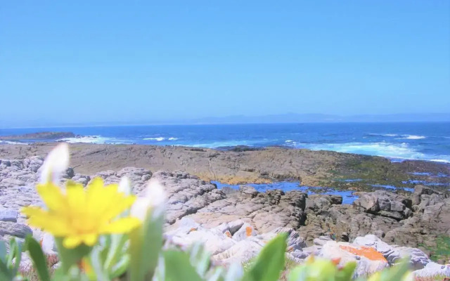 Whale View Guest House