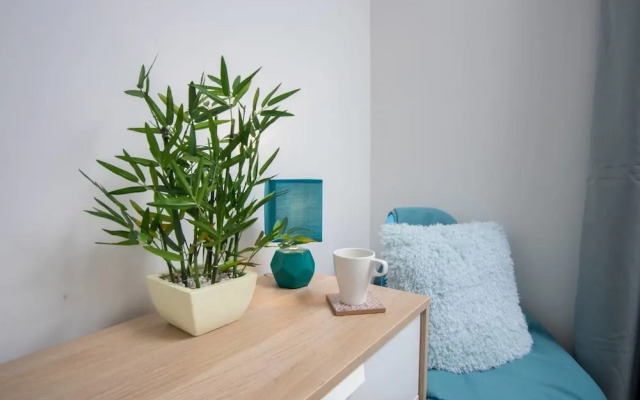 Quiet Residential Apt N/gloucester Road Sleeps 4