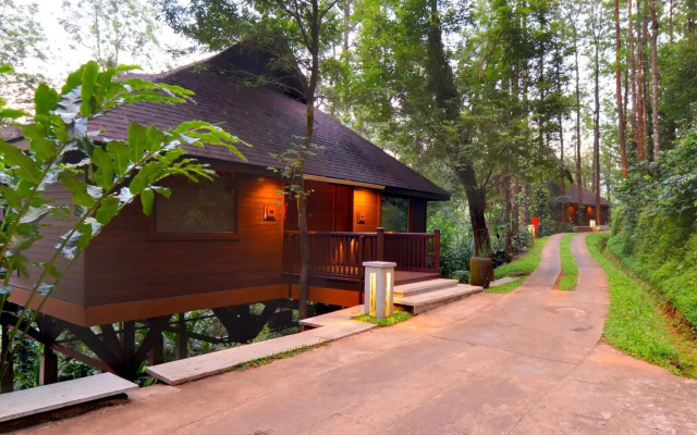 The Tamara Coorg