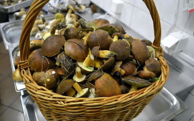 Vanilla Pokoje I Apartamenty Nad Brzegiem Jeziora
