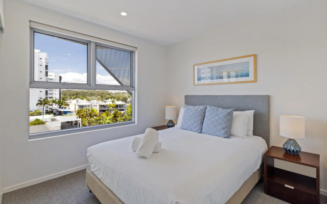 Verve on Cotton Tree