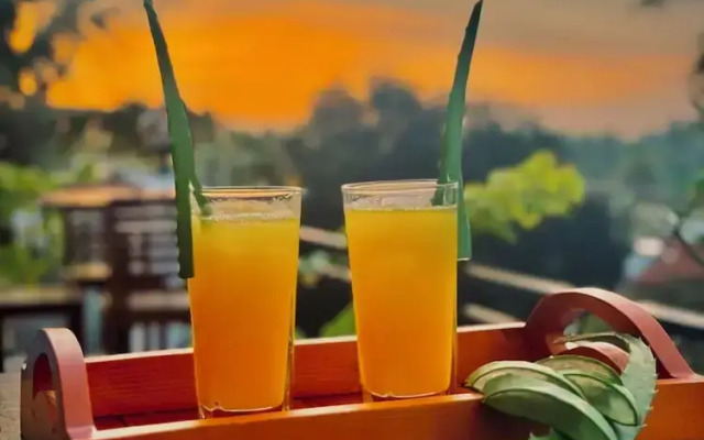 Aloe Transit Hotel