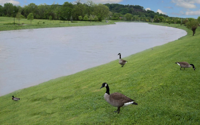 Econo Lodge Sevierville-Pigeon Forge on the River