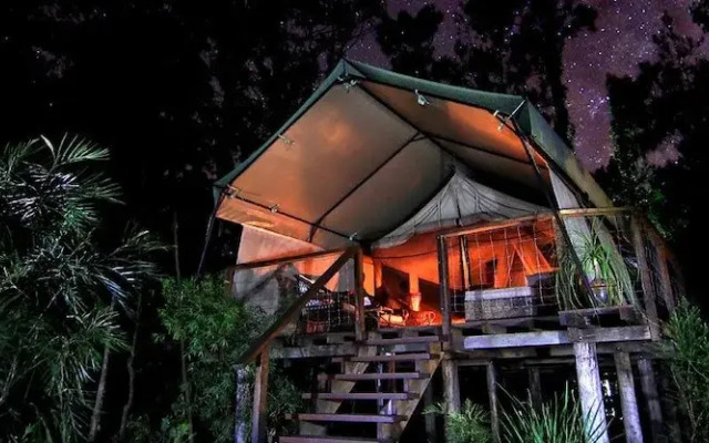Paperbark Camp