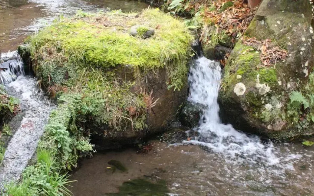 Sanjugariso