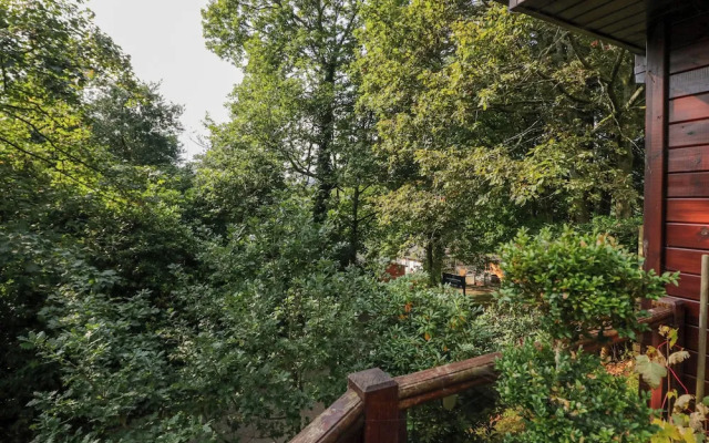 Tree House, Partial Lake Views