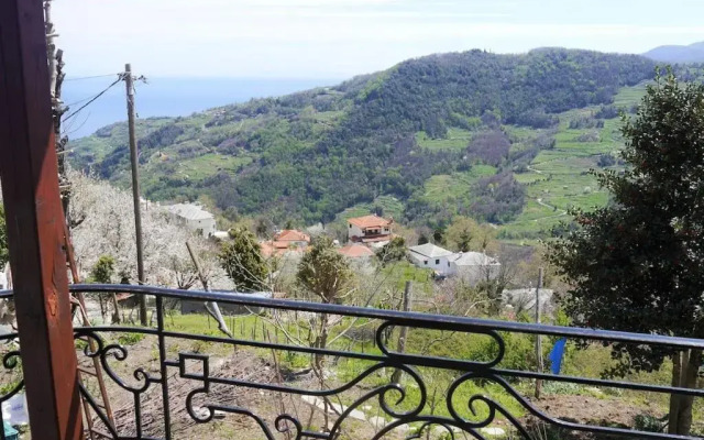 Wonderful 4 Bedroom Villa & separate guest house Villa Thalia