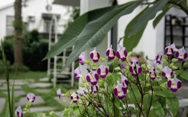 Hasayaki B&B