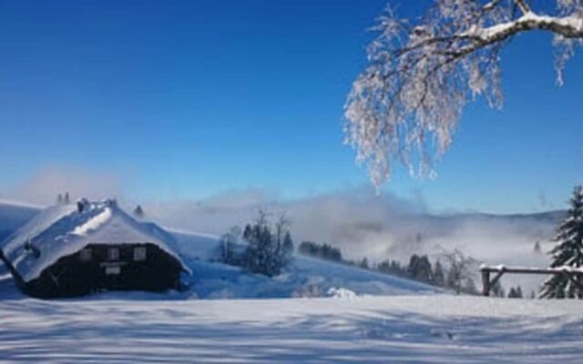 Berggasthaus Gisiboden Alm
