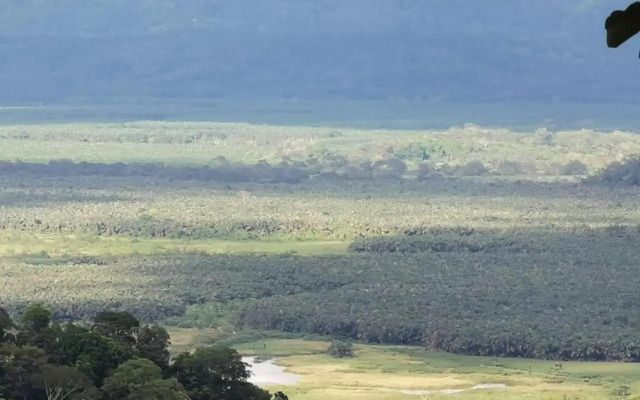 Mirador Osa