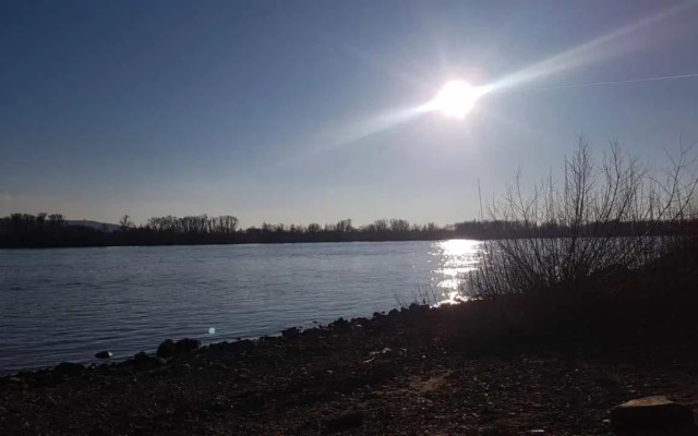 Rheingau und Weltkulturerbe Mittelrheintal erleben - Ferienappartement in Winkel