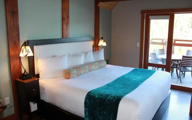 Safe Harbour Suite