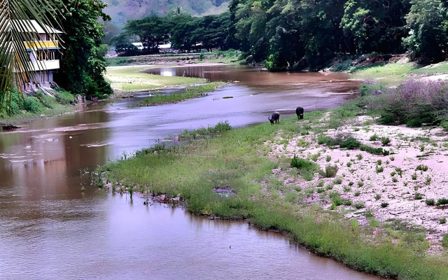 River Bank Resort