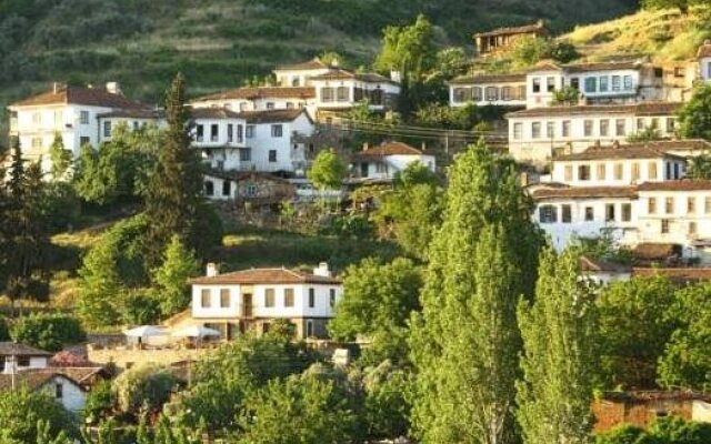 Erdem Mansion