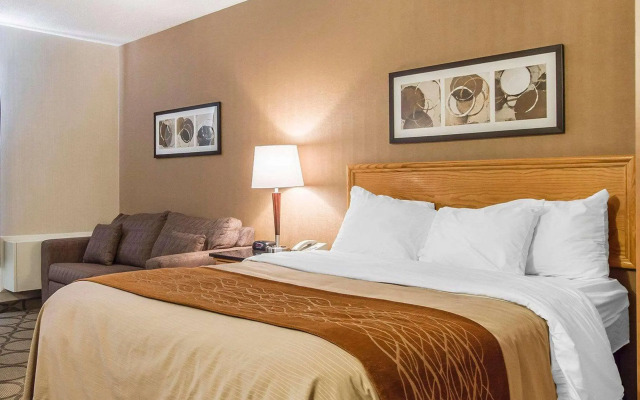 Comfort Inn Alma