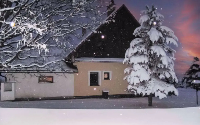 Rokytnice v Orlických horách