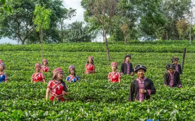 Pu'er Tea Garden Resort Hotel(Pu'er Tea Expo Garden)