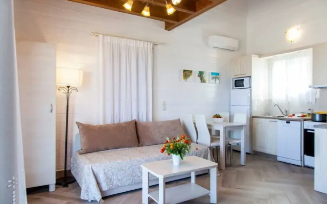 Vissala 4 Minuartia in Chortata