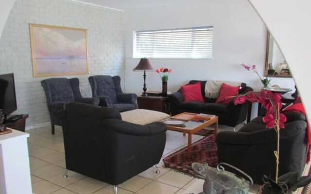 Watching Waves Heron Chase