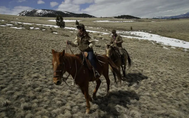 3 Spear Ranch