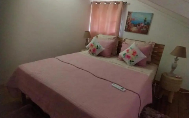 La mélodie des oiseaux