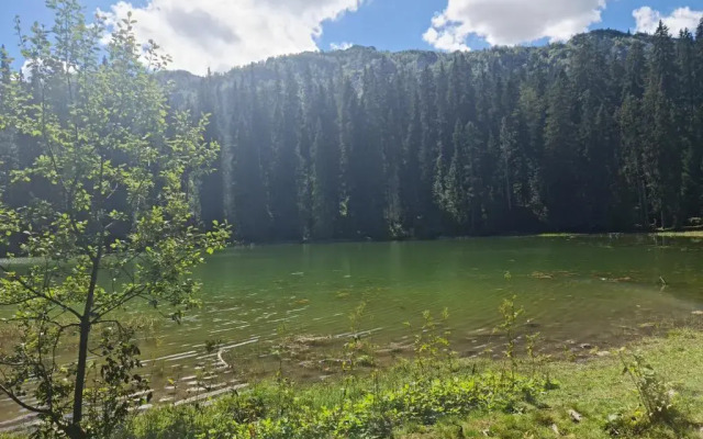 Holiday home Mountain