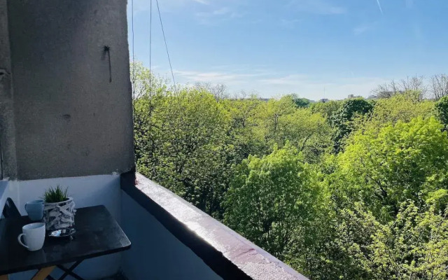 Cismigiu Park View