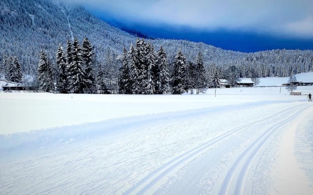 Mountain Apart Katzenkopf